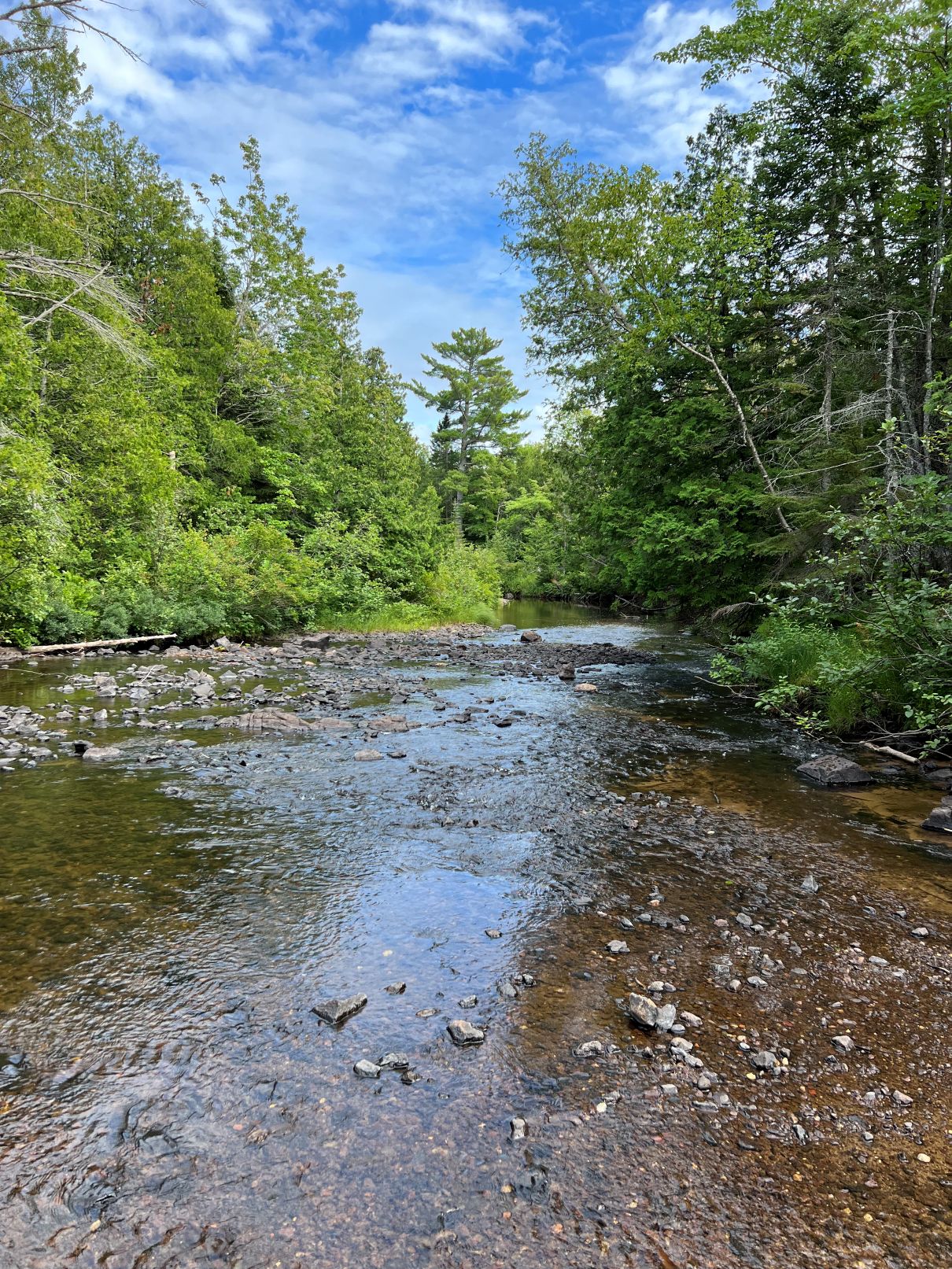 Montreal River flowing through forest in Keweenaw County